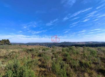 41d50c016e44e131bb0c7642b3b033b73dae6eb3 · Terreno à Venda em São Francisco de Paula!