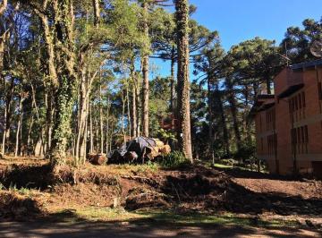 744ceeba10b875e956a5ff752be040f8f229d50c · Terreno à Venda em Gramado!