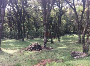 25768b7b971c32ee61c17c5f2b2dc6079d9c23a9 · Terreno à Venda em Canela!
