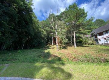 72eef25b14dedb3010e47a5fe98ecc83dd332df4 · Terreno à Venda em Gramado no Loteamento Vale das Colinas!