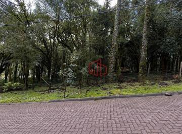 f3bfdf7452eba391b8a9e1f4cb1c630993e7e447 · Terreno à Venda em Canela!