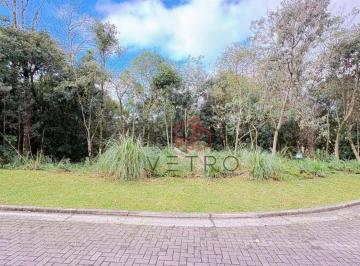 d8921f1fcbba98766996ca313ce95be66a0706d7 · Terreno à Venda em Gamado!