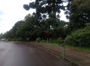 639efd388e233a95c7ec952980889af42fd1e223 · Terreno à venda em Canela!