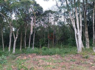f2d387cede8eda25284df9519ee8652f147c8c03 · Terreno à Venda em Gramado!
