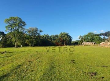 3c5a71c0ea87b2f801769e743a3b42efb0c874ab · Sítio à Venda em Gramado!