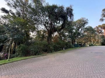 6c5a067a92f643847b16e0badec5a2499a0ab3bc · Terreno à Venda em Canela!