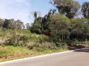 d23a3dfd38cc6afaba5240f7e387298c0f945d46 · Terreno à Venda em Gramado!