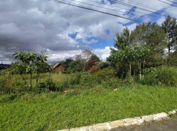 71515342acc0ffbdc29d8dd5616bbf770bb62ba8 · Terreno à Venda em Gramado!
