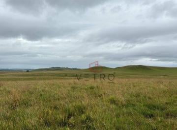 2f63f2c363bcde4bd059eaccdcaddd856ab6e58d · Sítio à Venda em Lajeado Grande, São Francisco de Paula, com 18 Hectares!