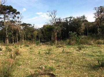 9fb84733e58abadb49f1f0da88e909b781325a72 · Sítio à Venda em São Francisco de Paula!