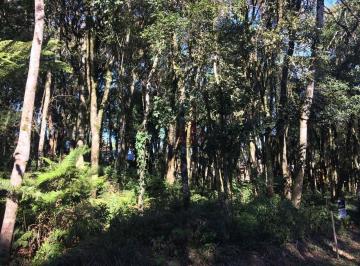 b61610c3958cae1c3987166d0367303190ede978 · Terreno à Venda em Gramado!