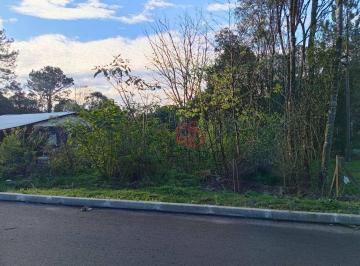 2e58fa969a943ae3046b44c230a6edcec8a31e64 · Terreno à Venda em Gramado!