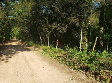 828f4778470f4740e96fea7bff244f5bb840b873 · Terreno à Venda em Canela!