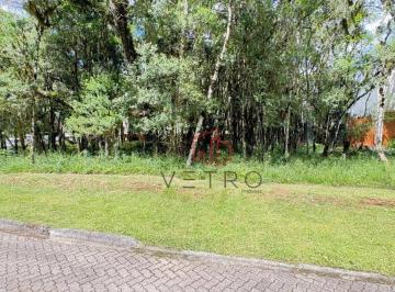 48ba3764e89c65da328408e783fce4afa7e7bce8 · Terreno à Venda em Canela!