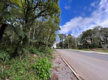 40dc18688f5e0c437dd998a0fdb41b0420bebfa7 · Terreno à Venda em Canela!