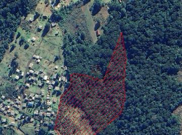 7b1514700a0c1b4a7f3597d629c47a11831fdb22 · Terreno à Venda em São Francisco de Paula!
