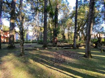8012ad759d0bda0413e38437988826e7dd280fb5 · Terreno à Venda em Canela, na Vila Suzana!