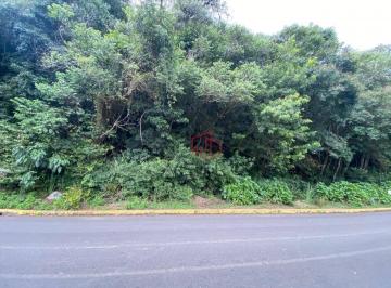 819ce8c1af8476bb2c0643e7949a03ecc2d0bf45 · Terreno à Venda em Canela!