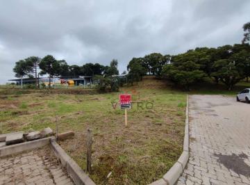 2b774f905596112f8d88721a0ace2af9e3cc555b · Terreno para invesitmeno em São Francisco de Paula!