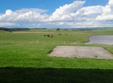 Rural de 4 quartos, São Francisco de Paula · Propriedade Rural 15,1 hectares a VENDA
