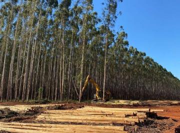 Terreno , Mairinque · TERRENOS EM MAIRINQUE DE 1000M²