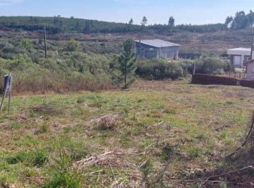 Terreno , São Francisco de Paula · Terreno Próximo a Prefeitura Municipal