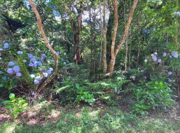 Terreno , São Francisco de Paula · Terreno no loteamento Colinas
