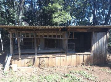 Rural , São Francisco de Paula · Sítio em meio a mata