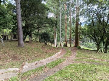 Rural , São Francisco de Paula · As margens da Rodovia
