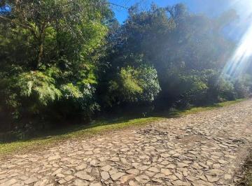 Terreno , São Francisco de Paula · Terreno no Colinas