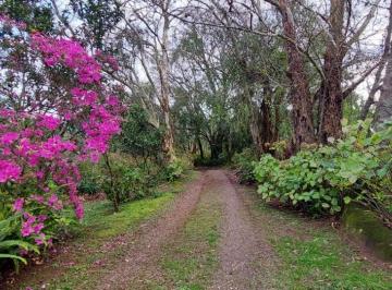 Rural , São Francisco de Paula · Aproveite e adquira seu sítio