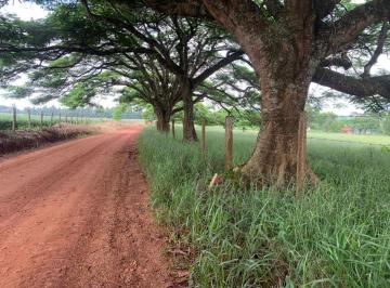 Rural , Tatuí · Belo Sitio Com 2,3 Alqueires, Documentos Em Ordem, Situado No Bairro Passa Três, Tatuí SP.