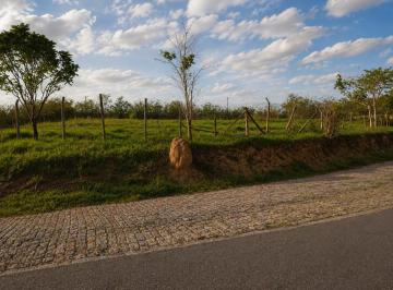 Comercial , Guararema · 4.000 m² ZUP-1 Industrial na Beira da Ayrton Senna