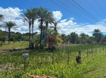 Terreno · 250m² · Vendo Lote de 250 m² no Bairro Luzimares, em Ilhéus – BA