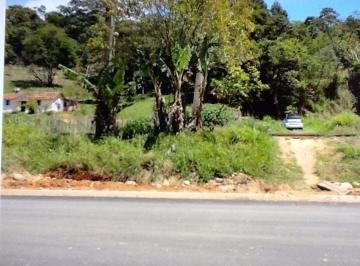 Comercial · 17300m² · Área à venda, 17300 m² por R$ 5.000.000,00 - Vila Vilma (Mailasqui) - São Roque/SP