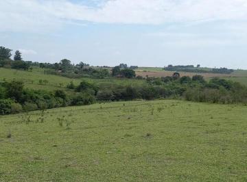 Comercial · 10000m² · Área à venda, 10000 m² por R$ 1.500.000,00 - Caguaçu - Sorocaba/SP