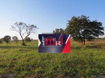 353091eb6637e59c0b2809ccf79f85017e81d50d · Fazenda em Alto Araguaia -MT