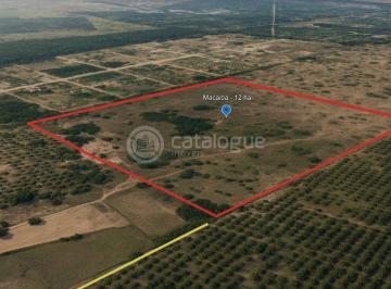Terreno · 120000m² · Area de 21 hectares em Macaiba/RN - Zona Industrial