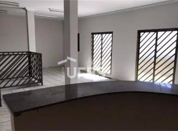 Casa · 262m² · 1 Quarto · Casa com 262m² 1 quarto à venda no Tocantins
