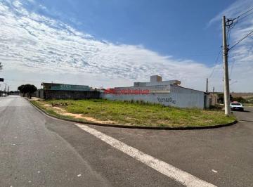f7b9c6c4ac26a7c7341cf69033e2e72044d075bc · Terreno à venda, 432 m² por R$ 550.000,00 - Parque dos Servidores - Paulínia/SP