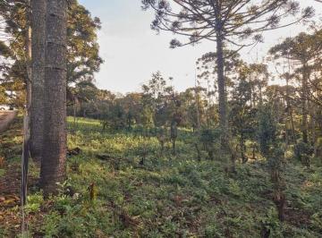 f99b18de764a32ff0a90ff73fea6a61ad132993a · Chácara à venda, 7000 m² por R$ 280.000,00 - Bateias - Campo Largo/PR
