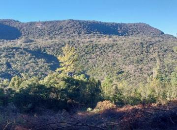 Rural , São Francisco de Paula · Chácara na subida da serra