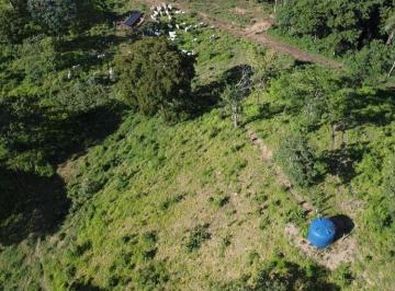 Rural en Venda de 4 quartos Zona Rural · FAZENDA EM PADRE BERNADO COM 64 ALQUEIRES AC IMÓVEL E PROPOSTA 98150-878$