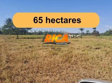 Imagem 1 · Sítio para venda em Porto Velho