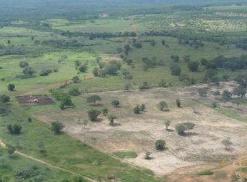 Imagem 1 · Fazenda para venda em Centro, Aroazes