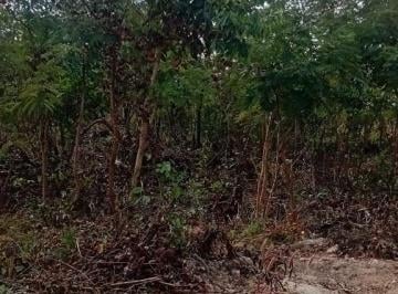 Terreno · Villagio da Chapada - Terreno à venda no bairro Coxipó do Ouro - Cuiabá/MT