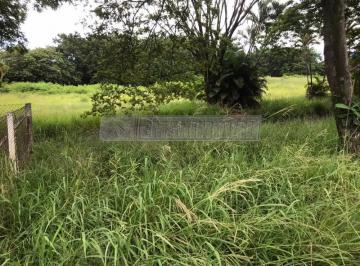 Comercial · 33000m² · Imóvel Comercial para venda em Éden de 33000.00m²