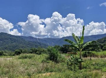 Terreno , Ubatuba · Terreno (meio lote)