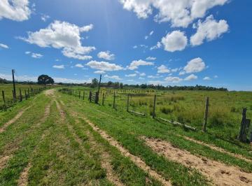 Rural · 2516800m² · Fazenda Perobas a Venda - 52 Alqueires Mineiros