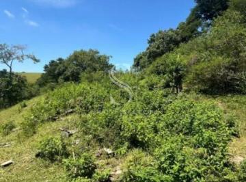Terreno · 12000m² · Terreno em Parque Edu Chaves, São Paulo/SP de 12000m² à venda por R$ 12.720.000,00